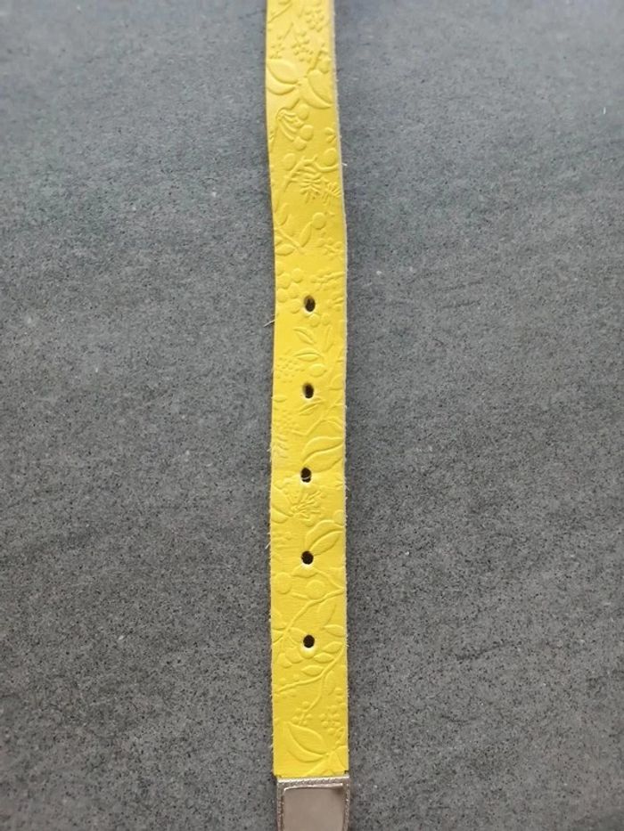 Ceinture - photo numéro 2