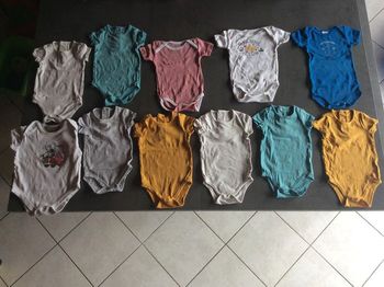 Bodies manches courtes 6 mois