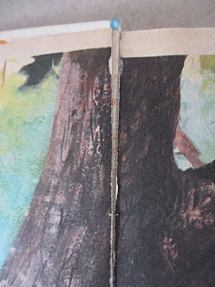 Livre enfant Les Animaux du Petit Bois – Anne-Marie Dalmais - photo numéro 7