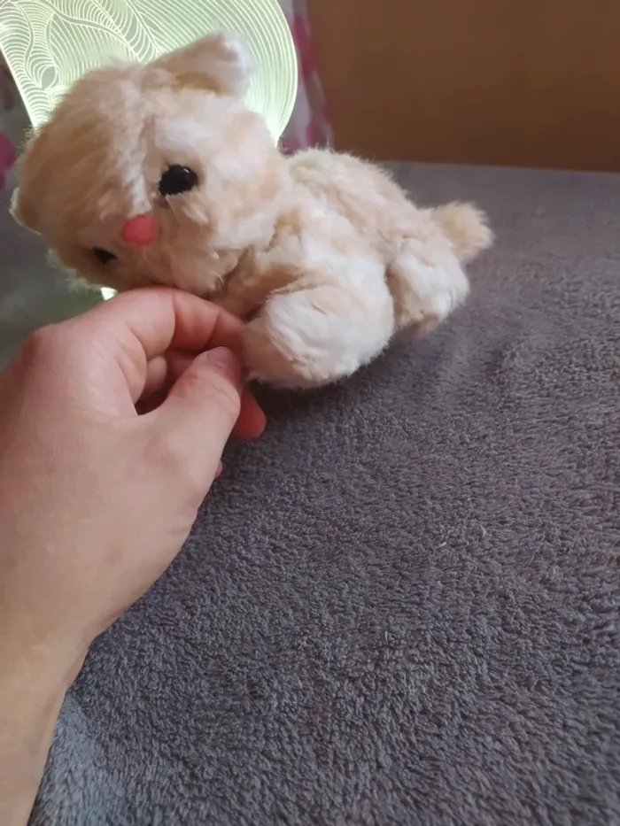 Peluche chat 🐱😺 - photo numéro 4