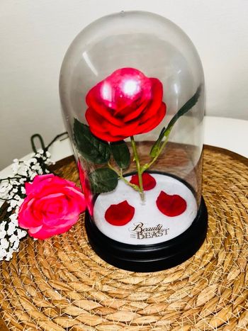 Rose éternelle