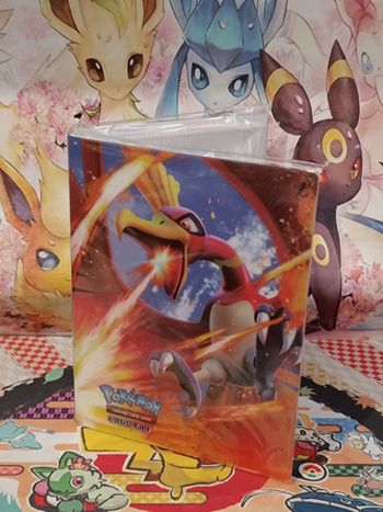 Portfolio Classeur Ho-oh okémon