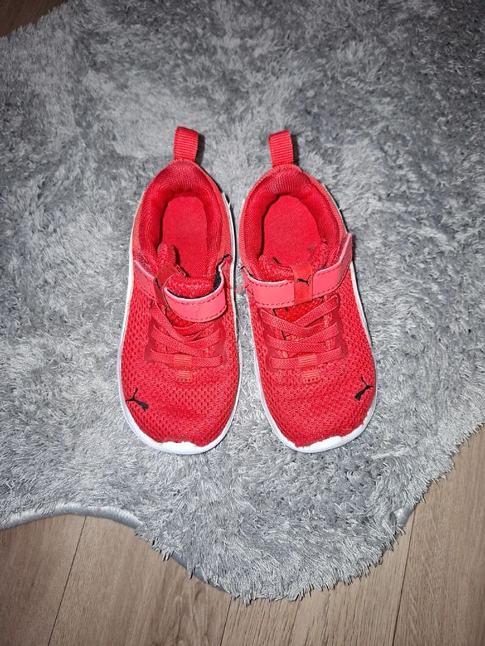 Puma taille 24 - photo numéro 2