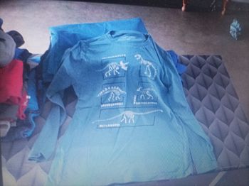 T shirt manches longue dino