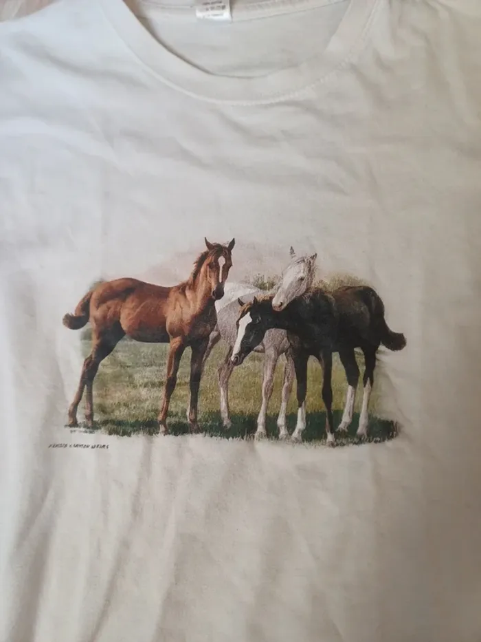 Tee shirt motifs cheval 9/11 ans - photo numéro 2