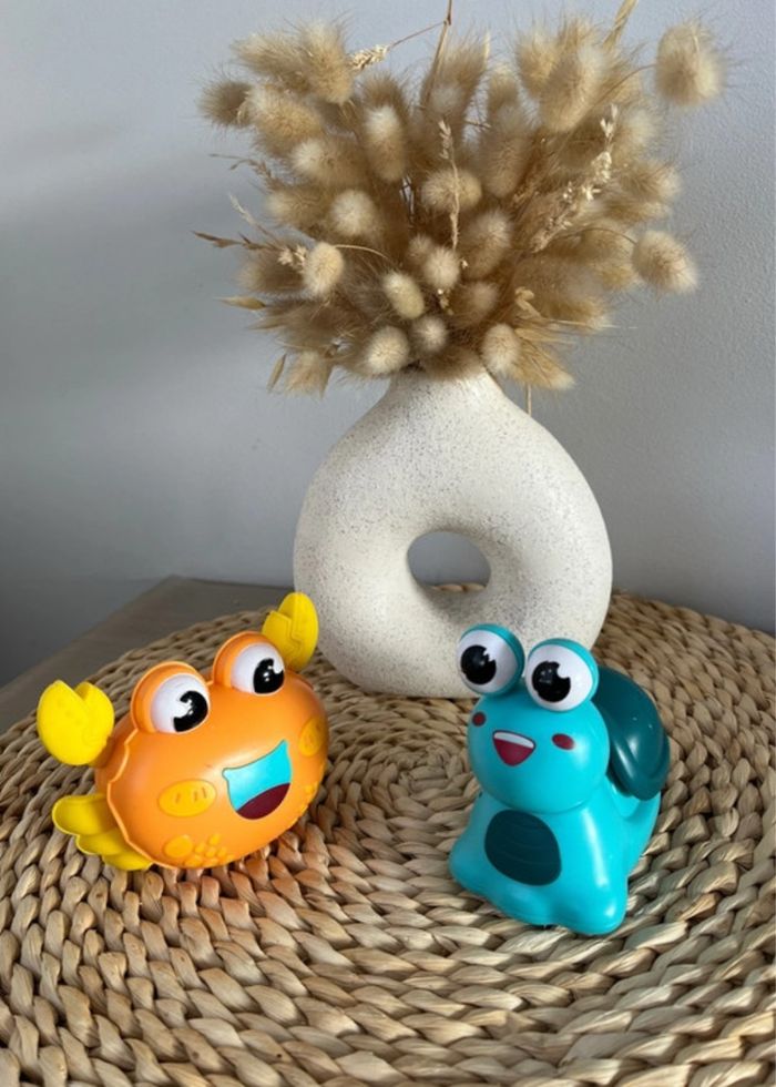 Crabe et escargot qui avance - photo numéro 2