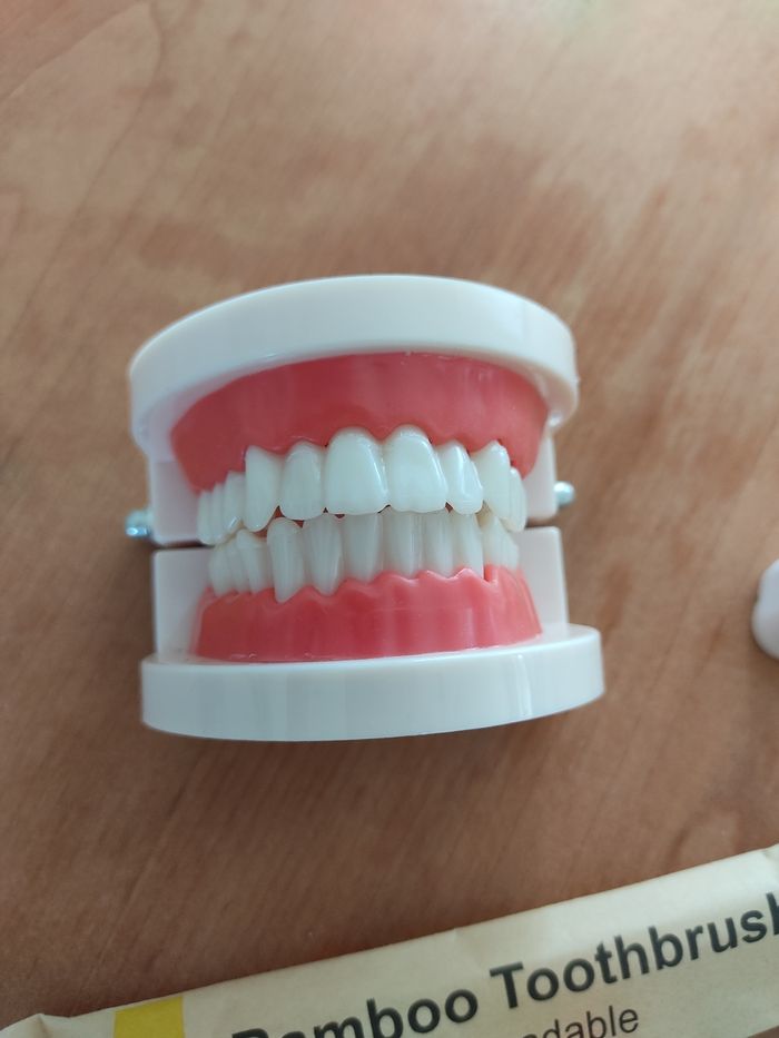 Jeu éducatif apprentissage brossage de dents - photo numéro 2