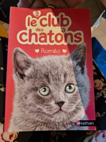 Le club des chatons Roméo
