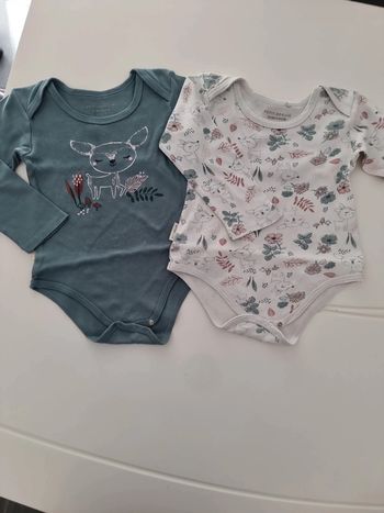 Lot 2 bodies 36 mois
