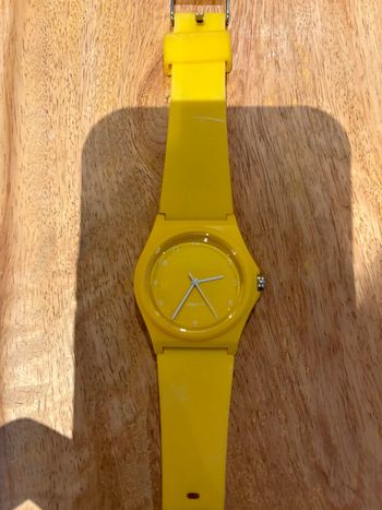 Montre geonaute