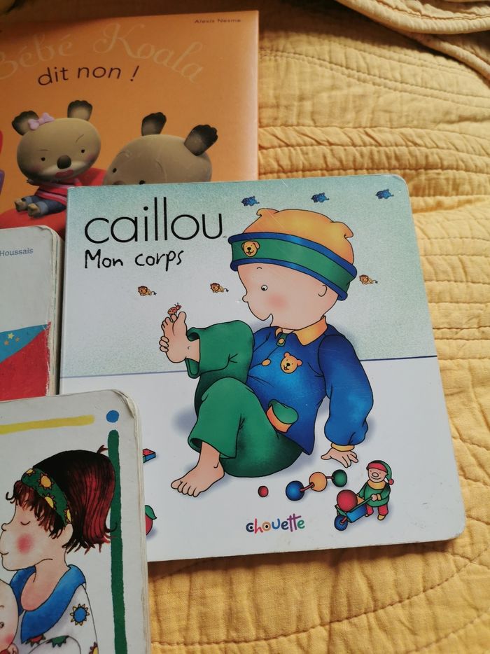 Lot de 4 livres cartonnes enfant - photo numéro 3