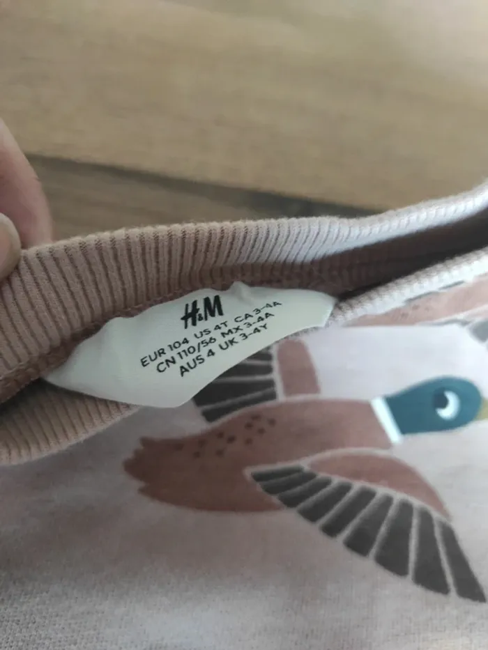 Tenue H&M 4 ans canards - photo numéro 5