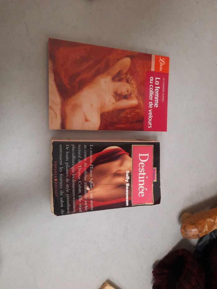 Lot 2 livre femme