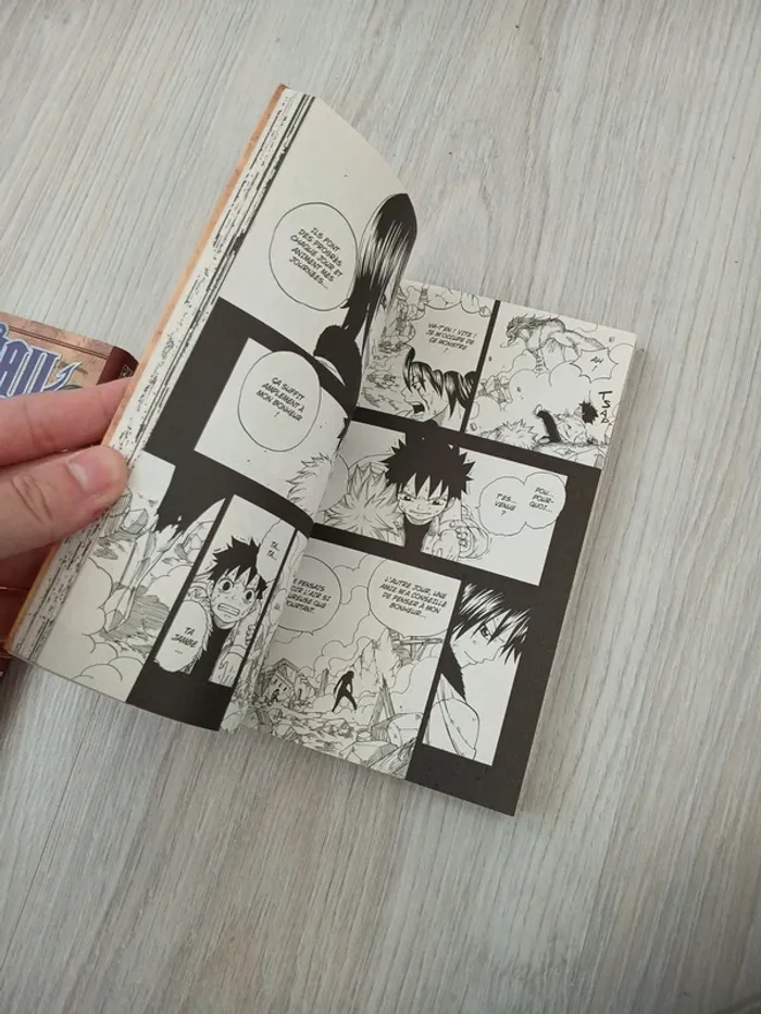 Fairy tail 5 - photo numéro 4