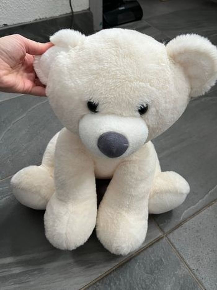 Grand ours - photo numéro 2