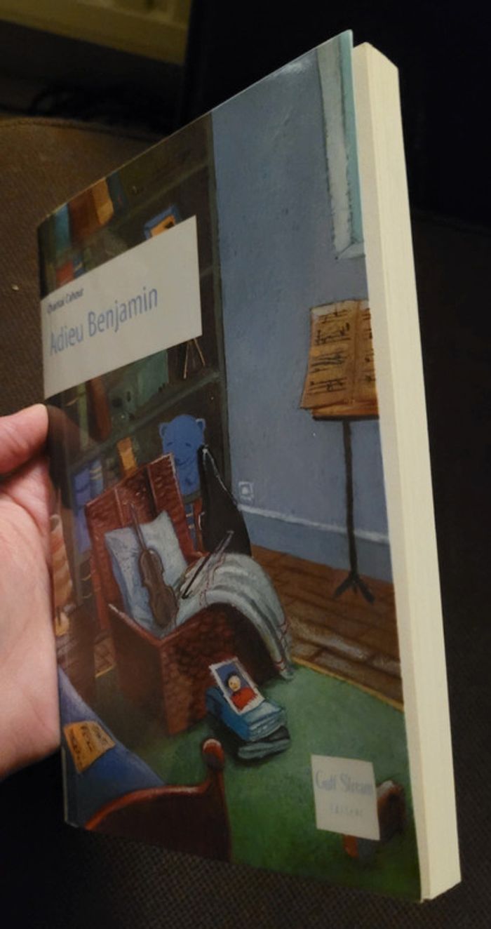 Livre "Adieu Benjamin" - Chantal Cahour- État neuf - photo numéro 3