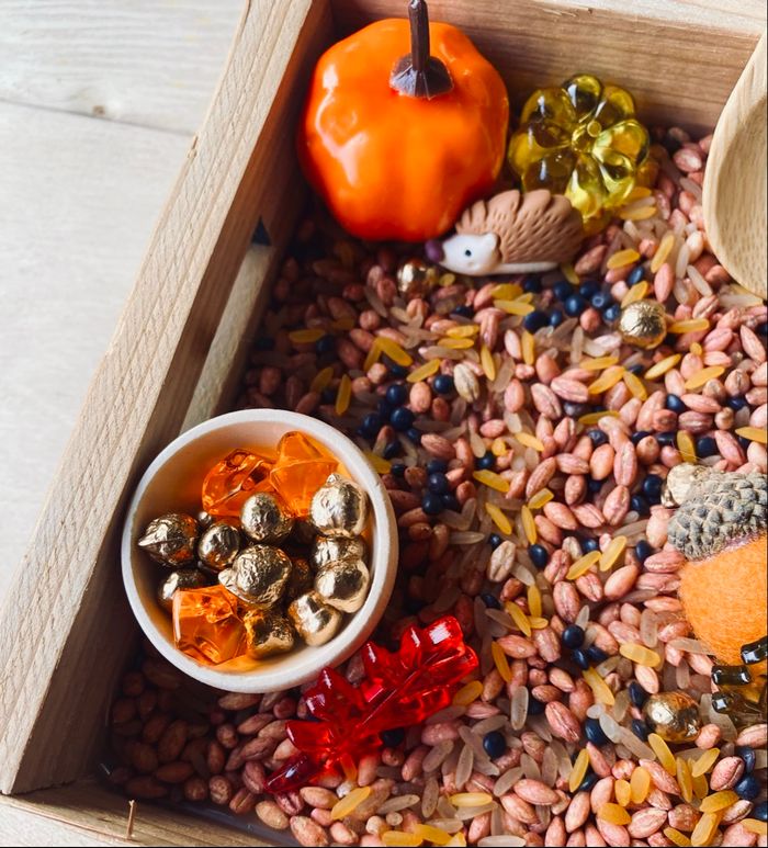 🍂Kit Montessori bac univers sensoriel – Thème Forêt automnale - photo numéro 8