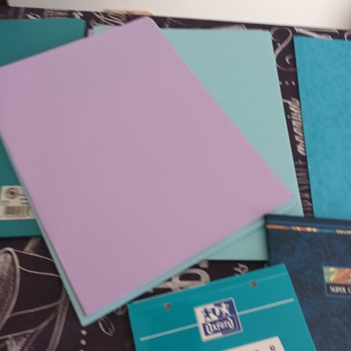 Lot fournitures scolaires crayons cahiers trieurs etc - photo numéro 8
