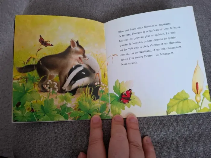 Livre "Bravo, Renardeau !" - photo numéro 3