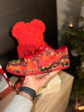 Nike Dunk Sb Pro - Wizard of Oz