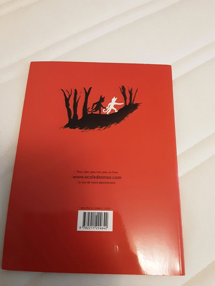 Le chat rouge - Grégoire Solotareff - photo numéro 2