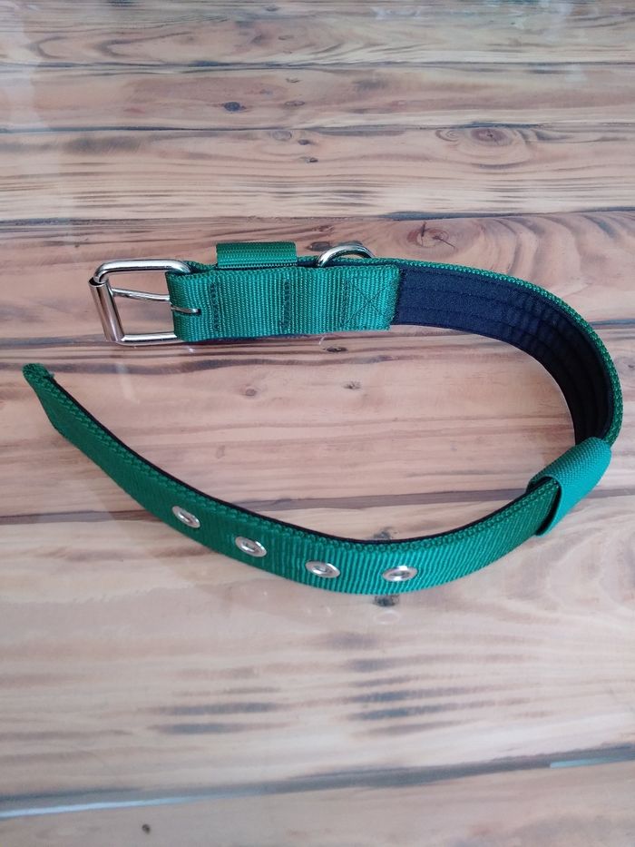 Collier chien TSPRO neuf - photo numéro 4
