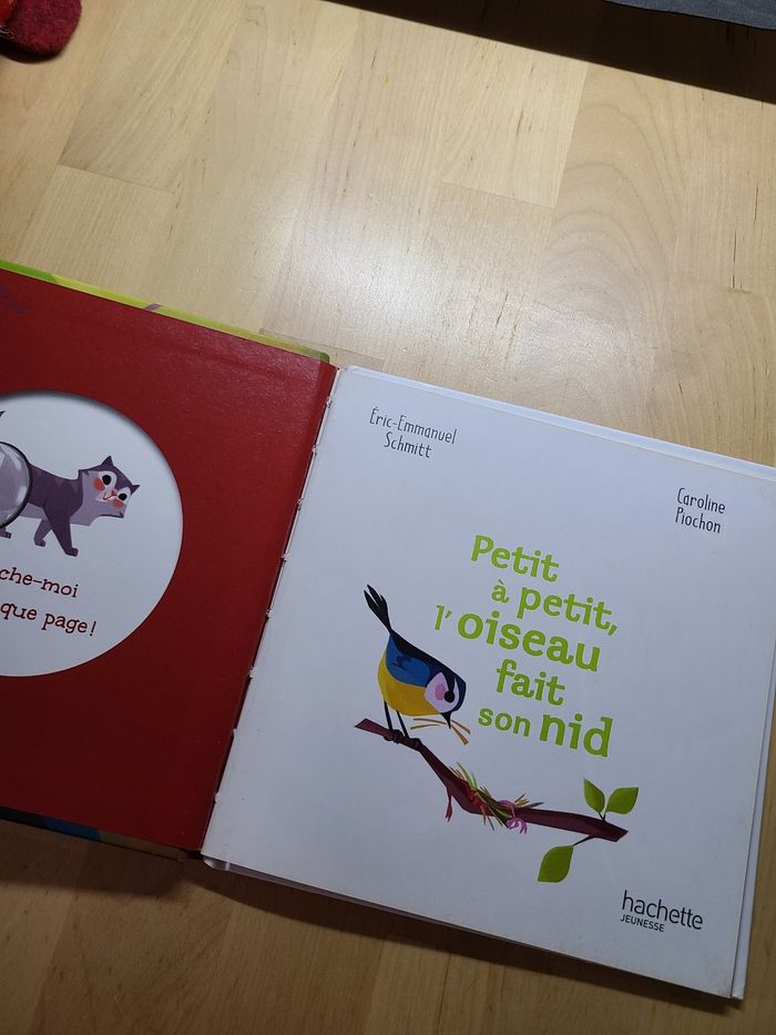 Petit à petit, l'oiseau fait son nid - photo numéro 4