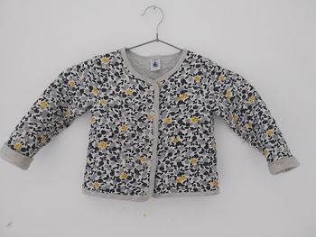 Veste gilet petit bateau 24 mois