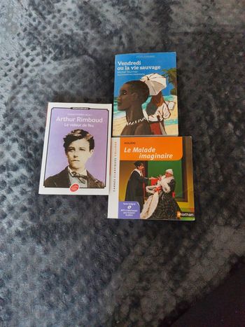 Lot livre collège