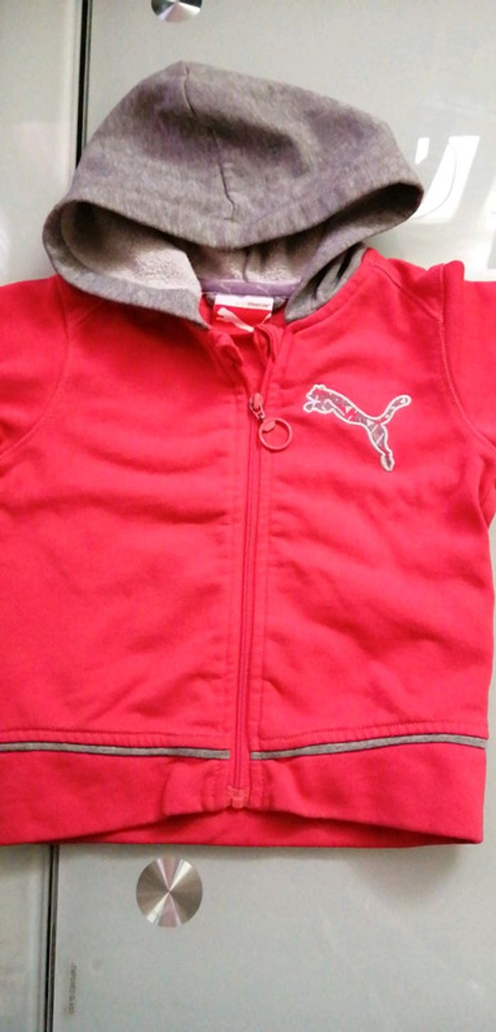 Veste puma
