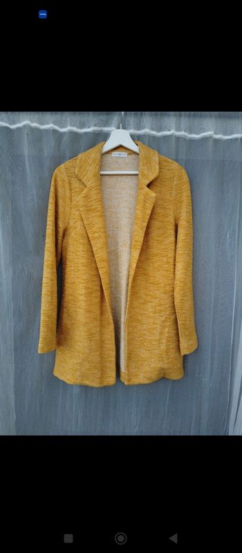 Veste