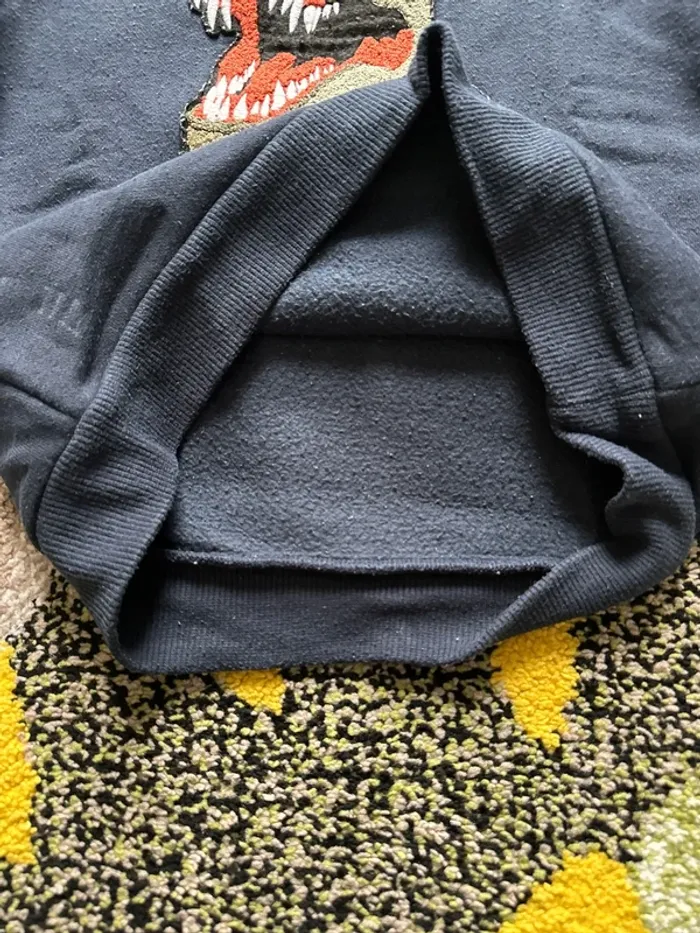 Pull molletonné dinosaure 8 ans - photo numéro 4