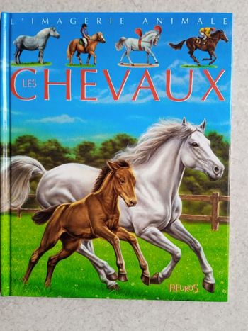 L'Imagerie Animale Les Chevaux
