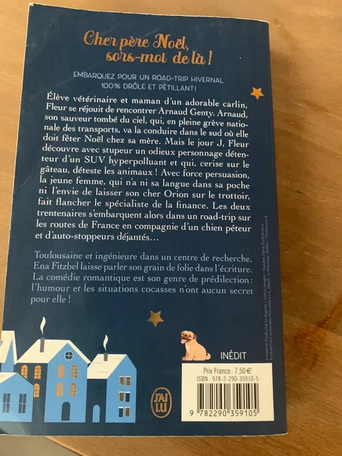 Livre humoristique thème noël - photo numéro 2