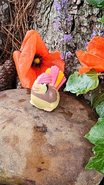 Super figurine Pokemon Nintendo Roucoups à roulement a bille