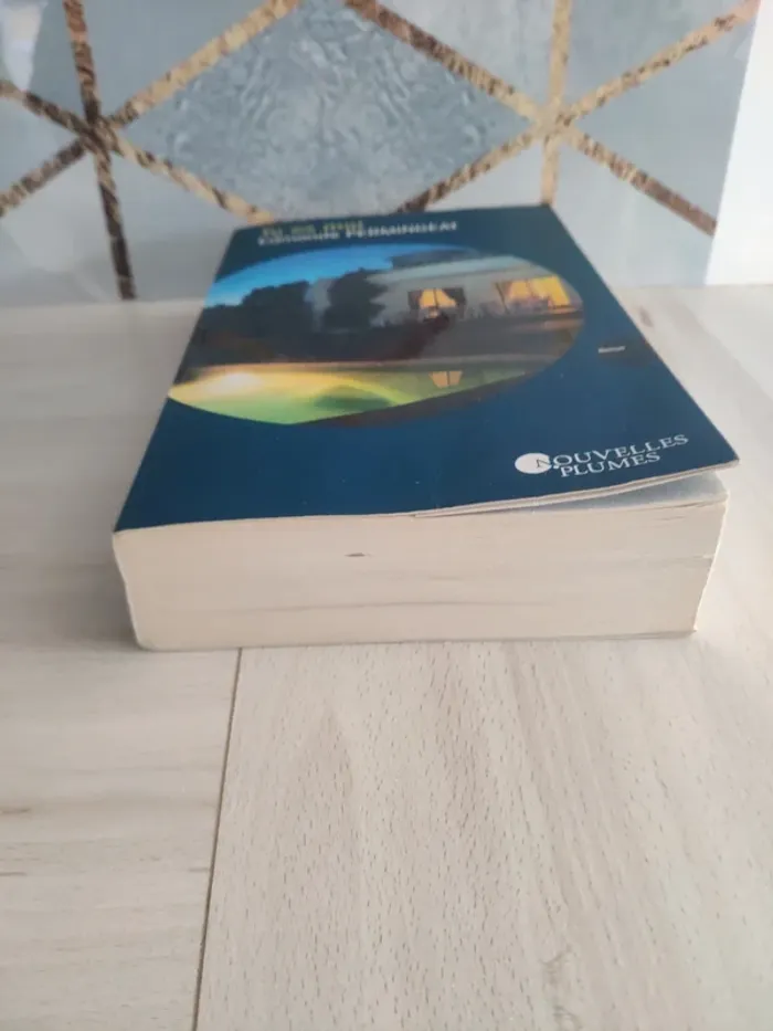 Livre grand format Tu es moi Permingeat - photo numéro 3