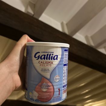 Gallia Calisma relais neuf