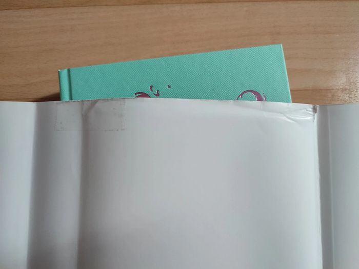 Lot livre l'ascension de camelot 1 et 2 - photo numéro 9