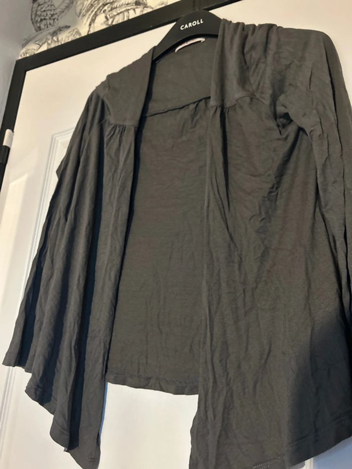 Gilet gris - photo numéro 2