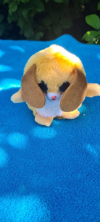 Peluche petit chien gros yeux sonore fonctionne