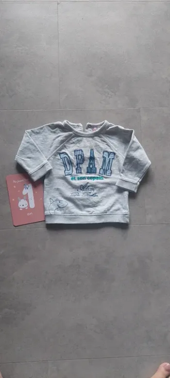 Sweat 12 mois du pareil au même