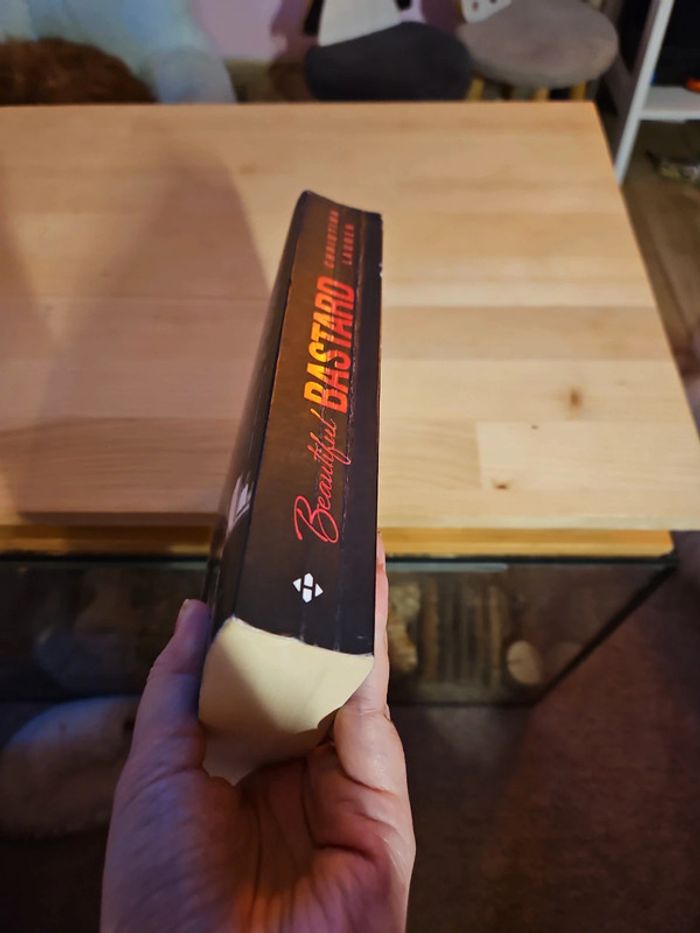 Beautiful bastard - photo numéro 5