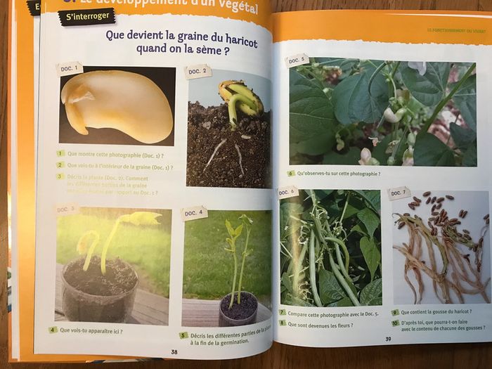 Sciences CE2 - Livre de l'élève - photo numéro 3