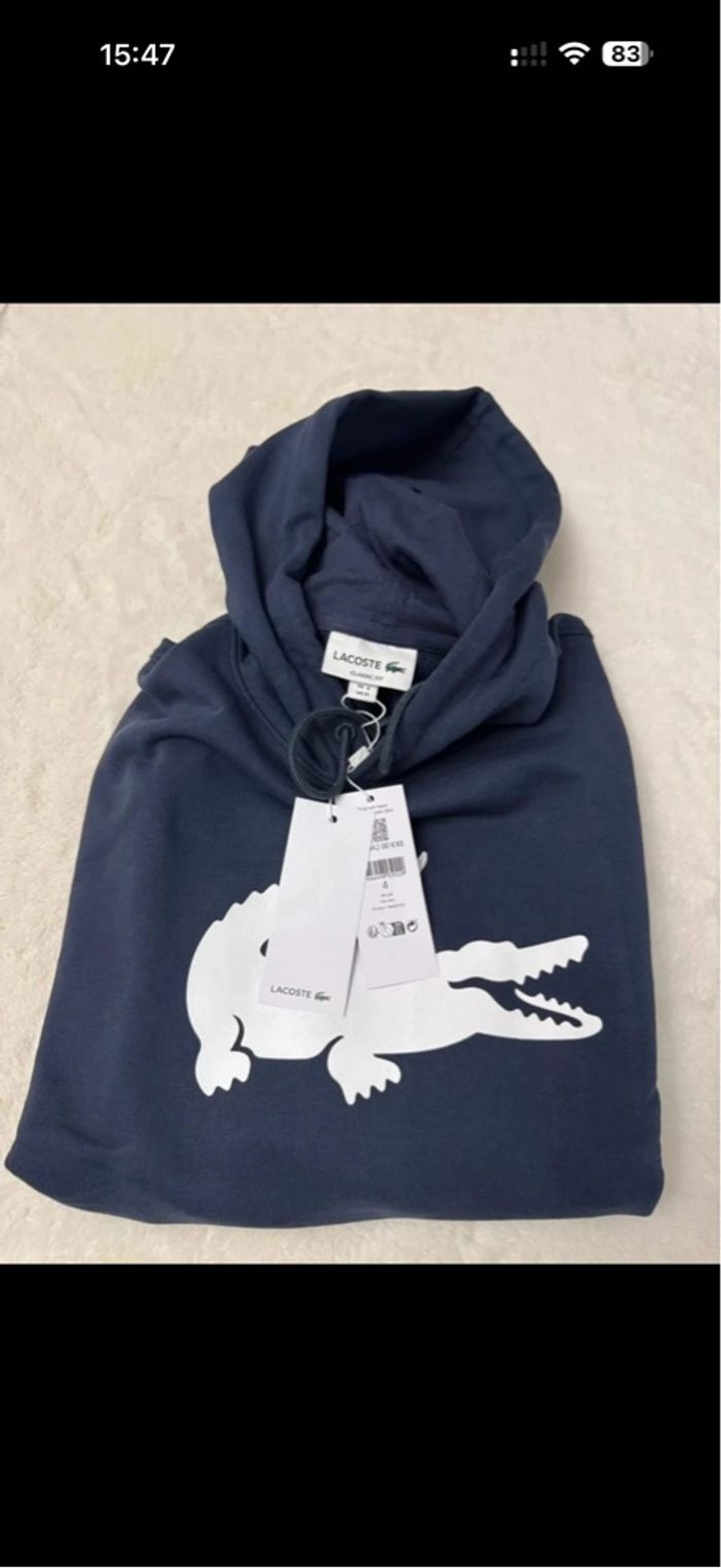 Lot t-Shirt + Sweat Lacoste 🐊 - photo numéro 4