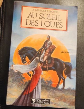 Roman livre au soleil des loups