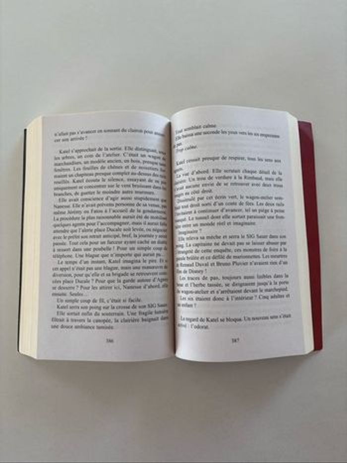Livre Bussi - photo numéro 3