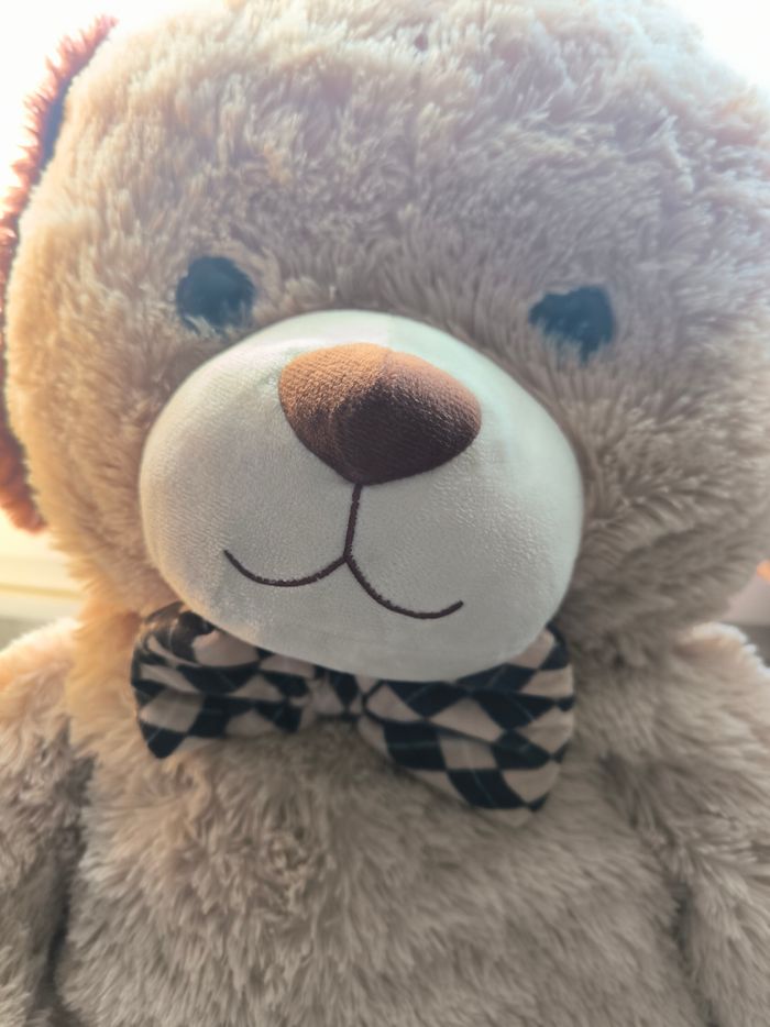 Ourson géant - photo numéro 2