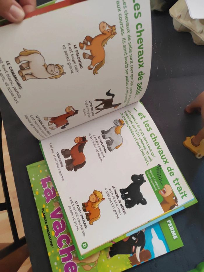 Livres audio animaux - photo numéro 9