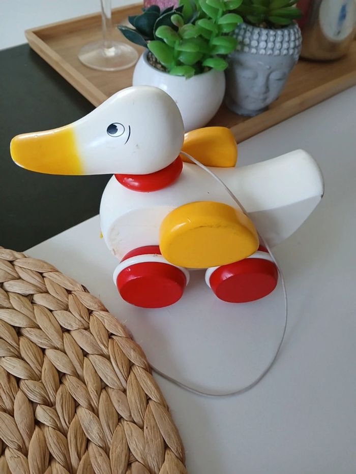 Canard à Tirer Brio 🌿🎁 - photo numéro 2