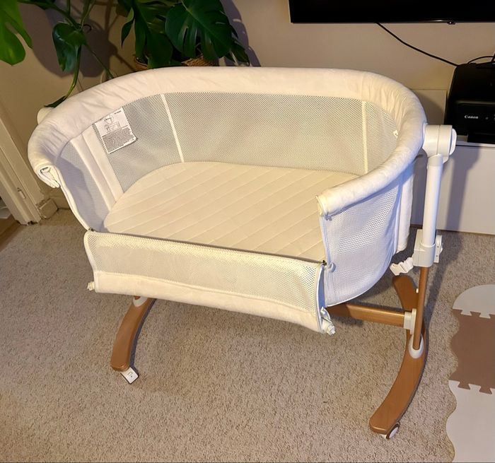 Cododo babygo - photo numéro 2